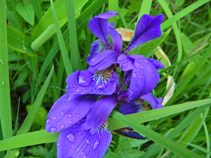 DSCN9706