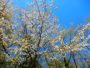 DSCN0208
