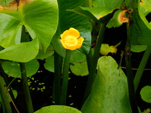 DSCN0072
