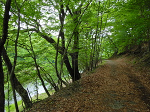 DSCN9450