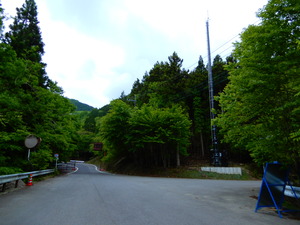 DSCN5935