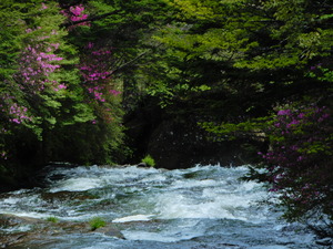 DSCN9784