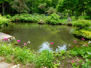 DSCN1070
