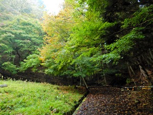 DSCN1196