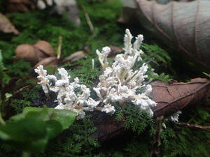 P9271190