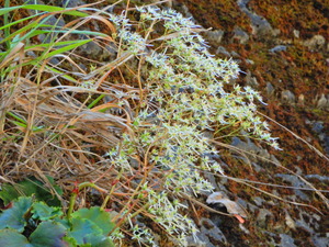 DSCN9782