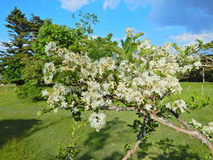 DSCN0257