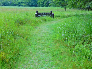 DSCN0087