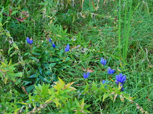 DSCN9324