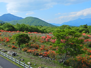 DSCN0140
