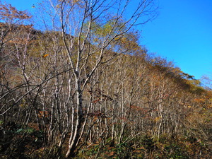 DSCN9646