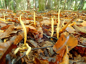 DSCN0305
