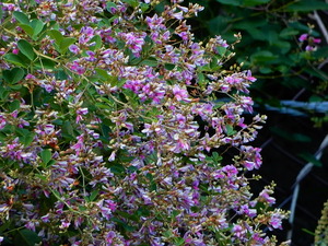 DSCN0710