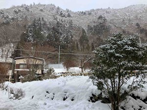 IMG_1033