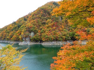 DSCN5590