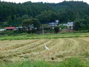 DSCN1037