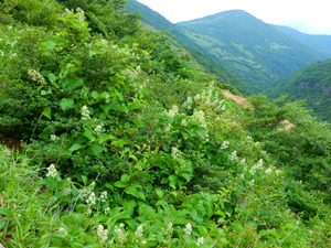 DSCN9427