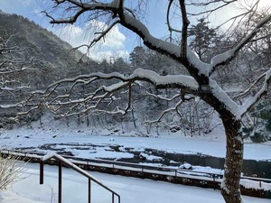 IMG_0994