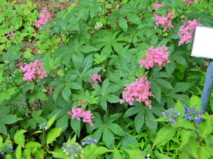DSCN0190