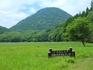 DSCN9696