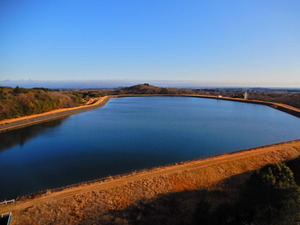 DSCN9595