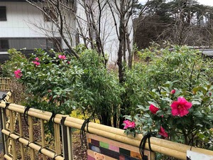 IMG_5363