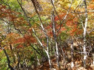 DSCN5413