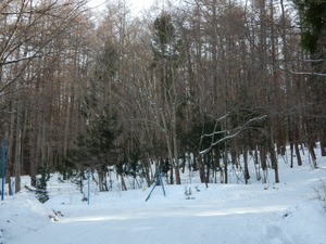 DSCN0249