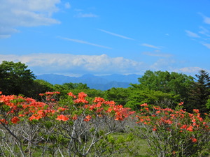 DSCN0130