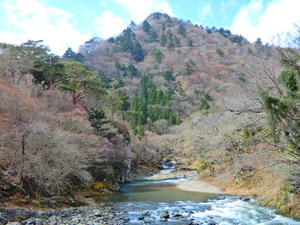 DSCN9911