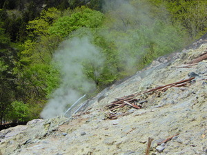 DSCN0061