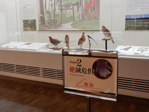 DSCN9292