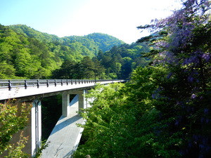 DSCN9959
