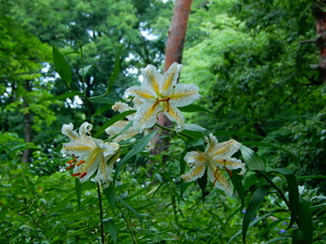 DSCN9891