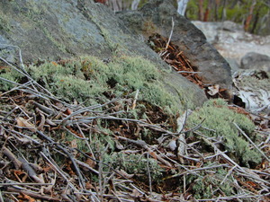 DSCN0114
