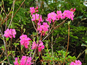 DSCN9946