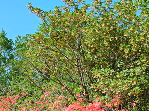 DSCN0165