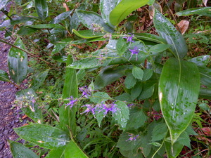 DSCN0120