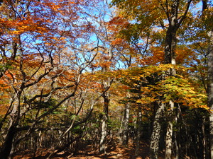 DSCN0014
