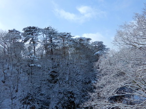 DSCN9321
