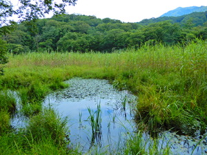 DSCN0107