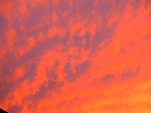 DSCN9968