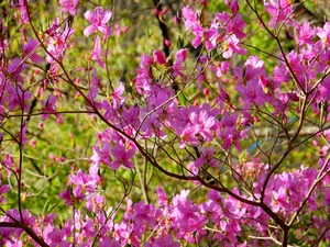 DSCN8730
