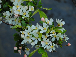 DSCN9835