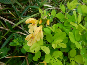 DSCN0461