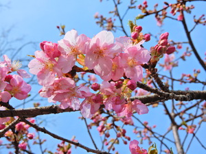 DSCN9418