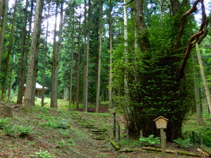 DSCN0317
