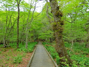DSCN9556