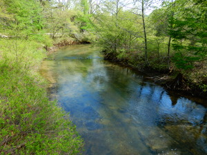 DSCN0682