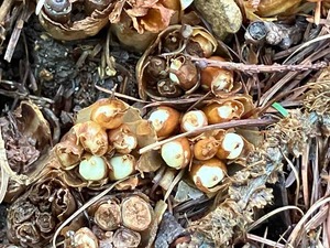 IMG_0876